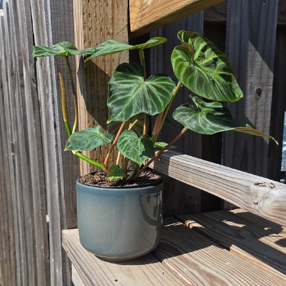 Handmade Other - Handmade Glazed Ceramic Pottery 6" Planter